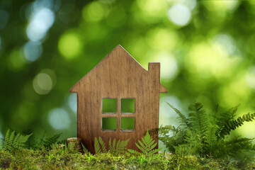 Obraz na płótnie Canvas Eco friendly home. House model on green grass outdoors