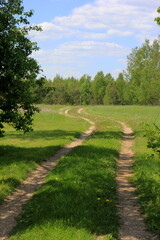 Country Road as S letter. S curve shaped country road. Summer time 