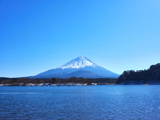 精進湖からの富士山