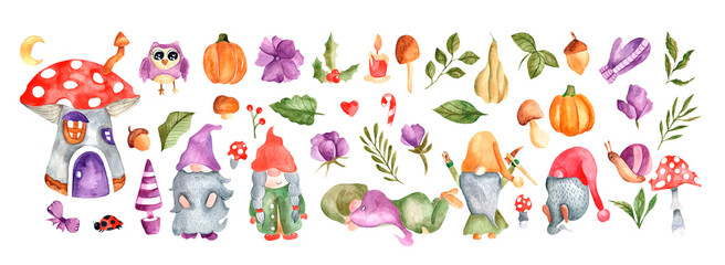 Watercolor gnomes. A fabulous set. Owl. Watercolor plants, flowers, mushrooms, fly agarics, pumpkins, house of gnomes. A set with small dwarf characters for decorating postcards, fabrics, prints.