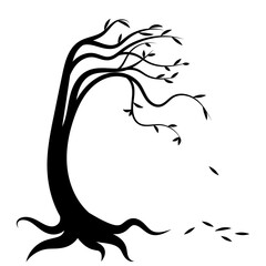 Silhouette tree and fallen leaves