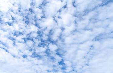 Obraz premium 青い空