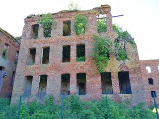 a ruined brick building with broken windows and trees growing in it behind a transparent fence with a green grid with a summer sunny day.