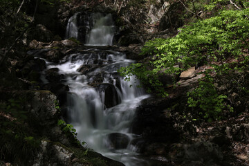 Fototapeta na wymiar 新緑の滝川渓谷の滝