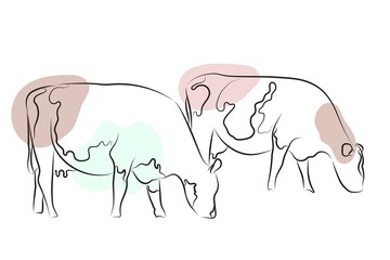 Vector cow illustration in a line art style. Design for prints and backgrounds.