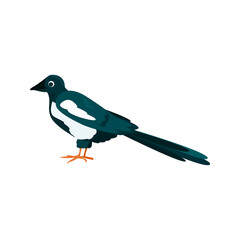 Magpie flat icon. Colored vector element from birds collection. Creative Magpie icon for web design, templates and infographics.