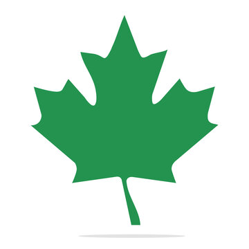 Green maple leaf. Leaflet logo - stock vector