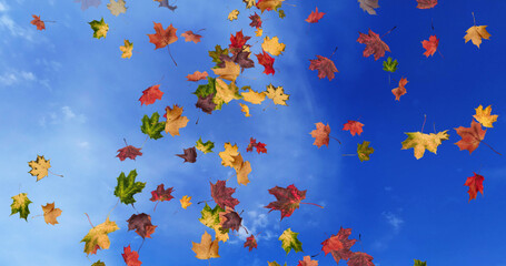 Falling leaves in autumn background