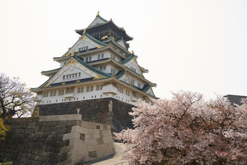 大阪城と桜
