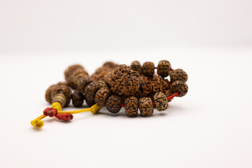 Rudraksha Seed in White Background. Om Namah Sivaya