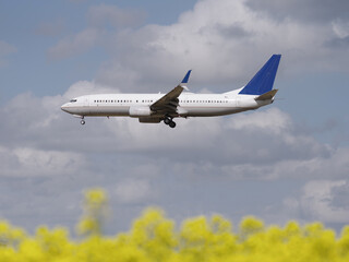 Obraz premium 菜の花と飛行機