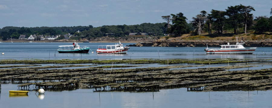 parc &agrave; huitre golf du Morbihan Locmariaquer