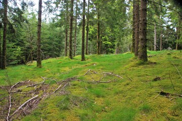 Paysages de Haute-Corrèze.