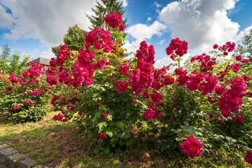 beautiful landscapes