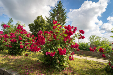 beautiful landscapes