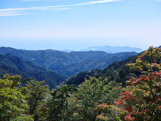 Obraz premium 大台ケ原