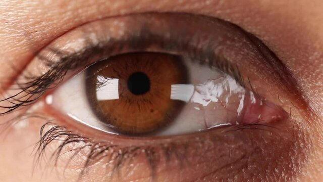 A close-up of a brown eye blinking with the eyelash in slow motion