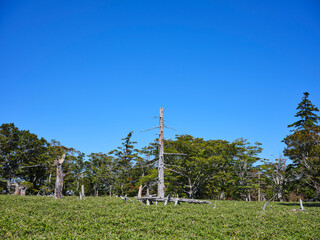 Obraz premium 大台ケ原
