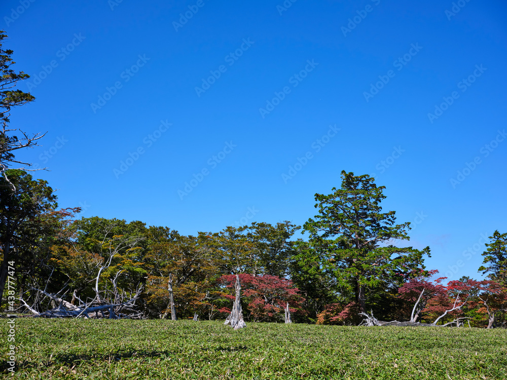 Canvas Prints 大台ケ原