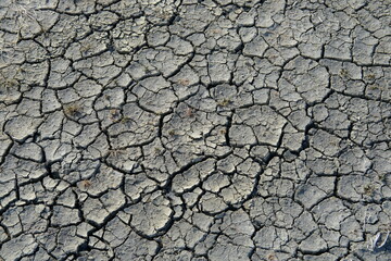 A close up on some cracked earth. Guérande, France, 2021.