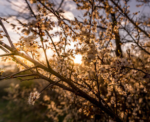 beautiful landscapes