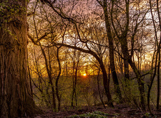 Naklejka premium Beautiful landscapes