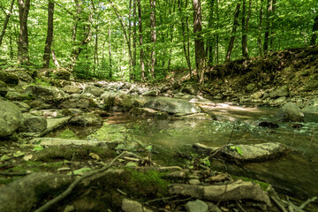 Beautiful landscapes