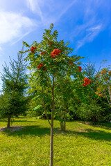 Beautiful landscapes