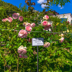 Beautiful landscapes