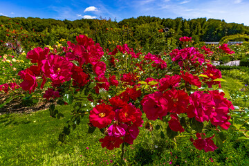 Beautiful landscapes