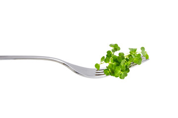 Microgreen sprouts, arugula shoots on fork isolated on white background. Young micro green shoots