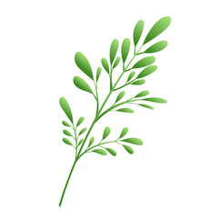 Plants and leaves vector, isolated on white color background , Vector Illustration EPS 10