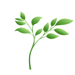 Plants and leaves vector, isolated on white color background , Vector Illustration EPS 10