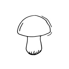 Mushroom. Porcini. Vector hand drawn doodle illustration. Silhouette. Black and white outline. Coloring.