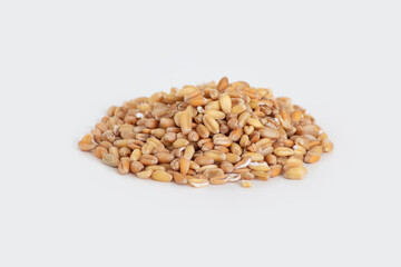 Handful of natural oat seeds on white background