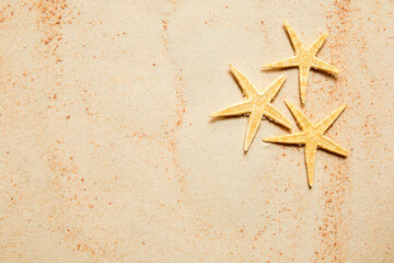 Summer background of sand and starfish with copy space