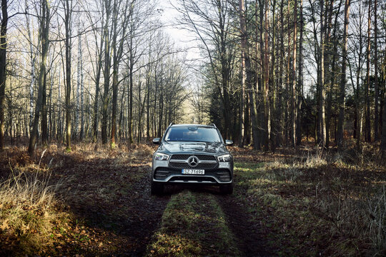 Luxury Mercedes GLE with 4x4 drive on off-road in the forest. Front view. V6 engine, 367 hp. Orzesze, Poland - 01.12.2020
