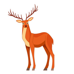 Forest graceful deer with antlers in standing pose. Wildlife of forest mammals concept. Cartoon vector Illustration flat style isolated white background