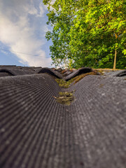slate roof overlooking the blue sky and green tree in the daytime in summer. bottom view photo