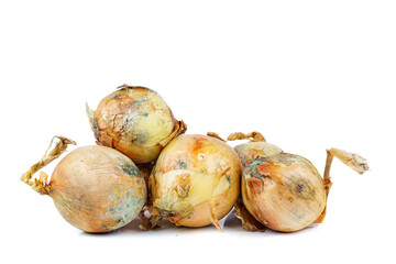 Pile of moldy onions on a white background