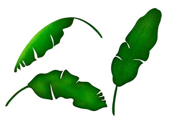 Set of hand-drawn banana leaves digital illustration