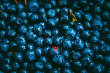 blueberries in water