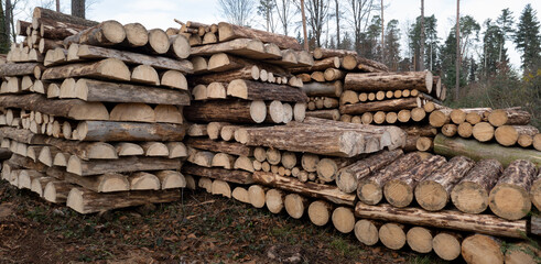 Lagerung von runden und halbierten, kurzen Baumstämmen im Wald - Forstwirtschaft Szene