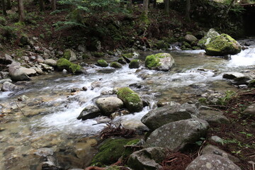 日本の山奥にある川を撮影
