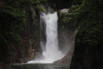 Fototapeta premium 鳴沢の滝と呼ばれる日本の滝
