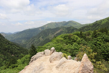 日本の山で綺麗な植物と空を撮影