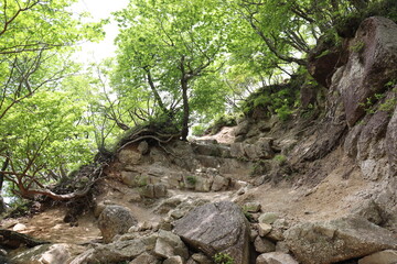 山奥の綺麗な自然の景色