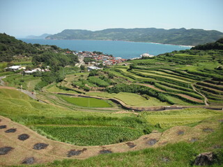海と棚田 山口県 1