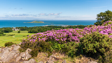 View from Howth Hill over Irish Sea, with the Ireland's Eye island in the distance in County Dublin.