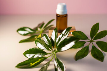 Bottle without label with oil on the stand. Transparent glass container with a dispenser on a beige-pink background. Product banner. Space for text, design.